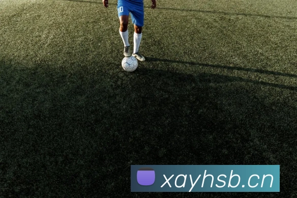 开云官方登录品牌故事