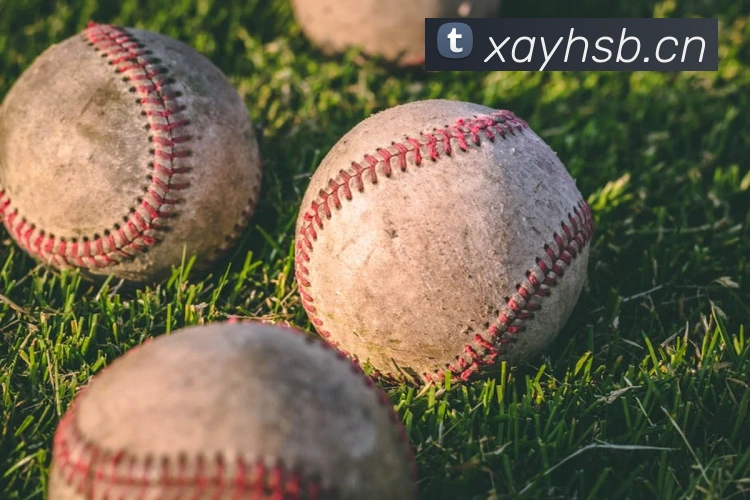 开云官方登录APP 体育赛事宣传图